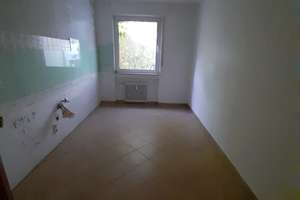 2,5 Zimmer EG-Wohnung mit Garten (WBS erforderlich) – Nöggerathstr. 85, 45143 Altendorf, Essen – Vorschaubild 4