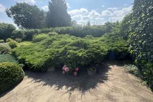 Charmante Doppelhaushälfte mit großem Garten – jetzt zum neuen Preis! – Siedlung 17, 15320 Neutrebbin – Vorschaubild 9