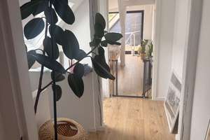 Maisonette Wohnung | Wi Mitte | 2 Terrassen | Hunde erlaubt  – Luxemburgstraße 9, 65185 Mitte, Wiesbaden – Vorschaubild 8