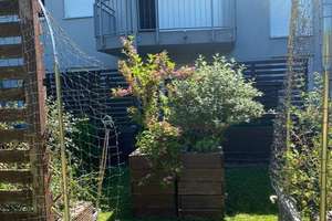 2 ZKB EG-Whg IN-West mit Garten ab 01.09.2026 von privat – Bei der Hollerstaude 18, 85049 Friedrichshofen-Hollerstauden, Ingolstadt – Vorschaubild 11