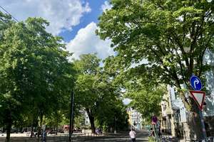 Zentrale Erdgeschosswohnung mit Zukunftspotenzial: Eigennutz ab 2034 möglich – Die vollständige Adresse der Immobilie erhältst du vom Anbieter., 40215 Friedrichstadt, Düsseldorf – Vorschaubild 8