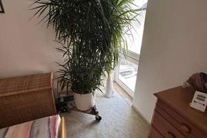 Zwei-Raum-Wohnung im Grünen/citynah  (ohne Provision, inkl. Kfz-Stellplatz) – 39112 Sudenburg, Magdeburg – Vorschaubild 6