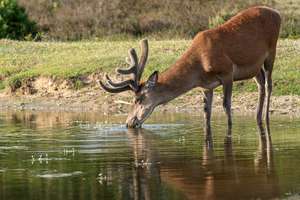 Property thumbnail 28