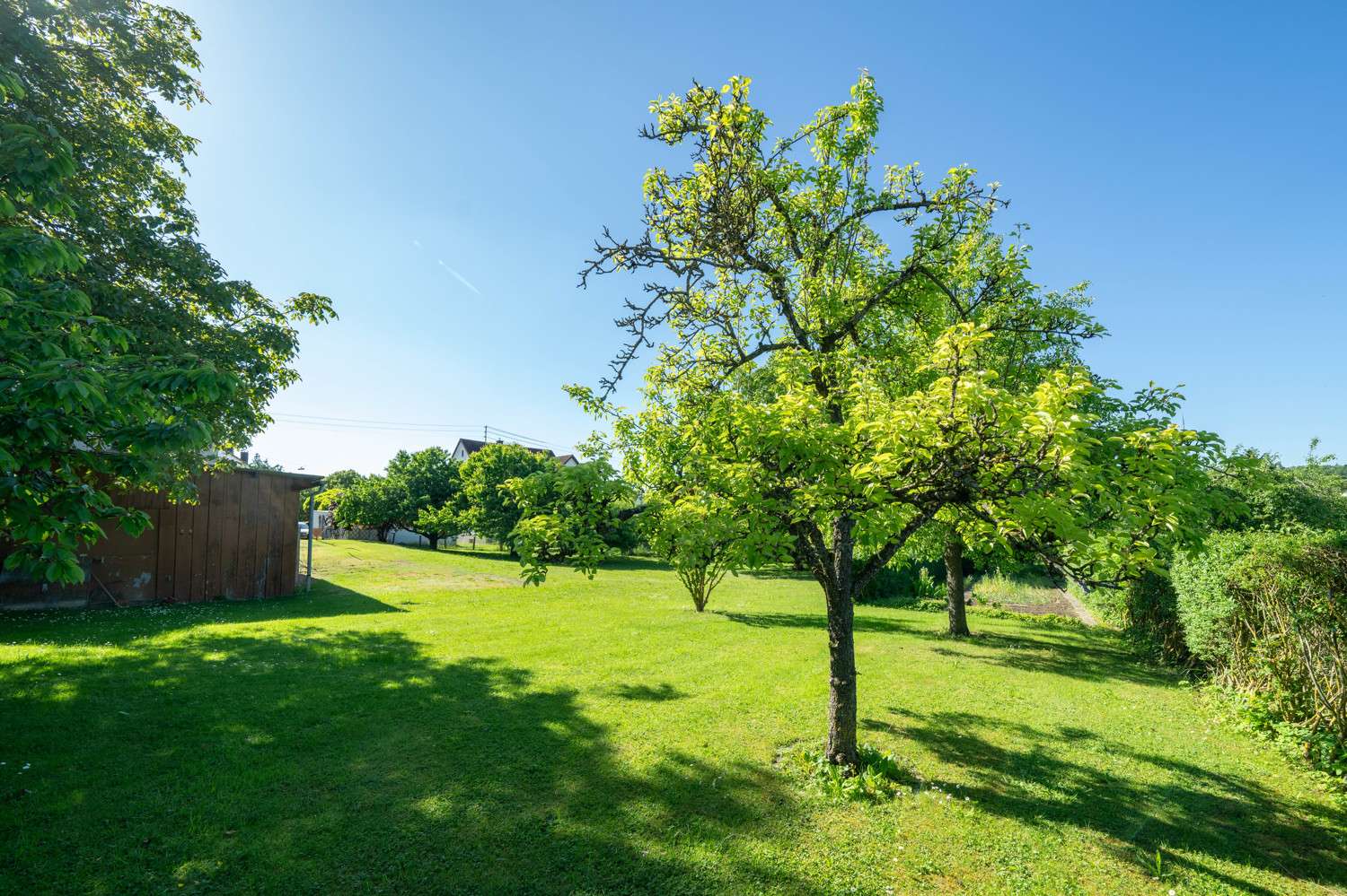 Anwesen mit zwei Wohnhäusern * großer Garten & viele Nebengebäude auf 3.000 m² * ideal für Familien, Donau Ries Kreis – Bild 4