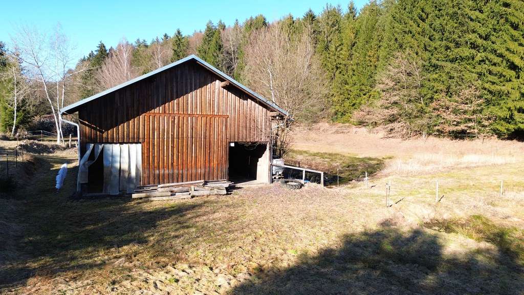 Immobilie in Saldenburg - Mehrgenerationenanwesen mit Scheune, Pferdehaltung und landwirtschaftlichen Flächen in Saldenburg - Bild 2