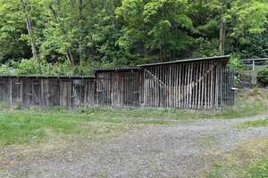 Provisionfrei! Schwarzburg, Mehrfamilienhaus direkt am Fluss – Saalfeld-Rudolstadt (Kreis) – Vorschaubild 12
