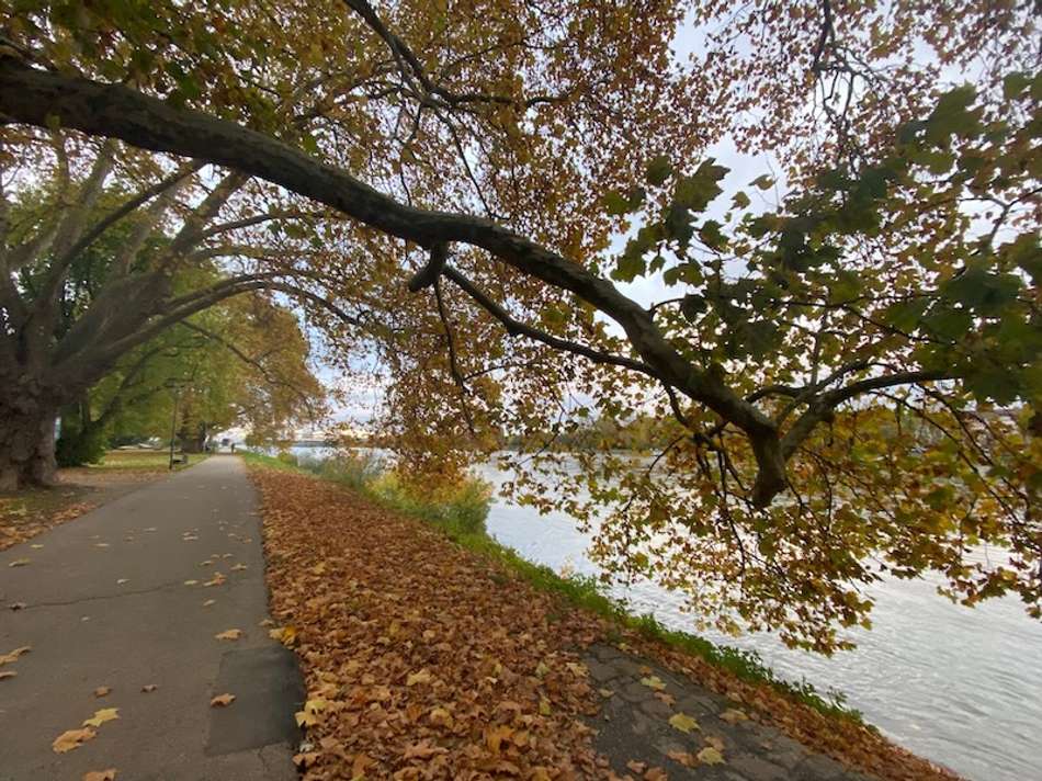 Parkinsel in der Nähe