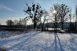 Idyllische Rückzugsoase für Naturfreunde und Tierliebhaber in Wob-Brackstedt – Auf dem Lerchenberge 1, 38448 Brackstedt, Wolfsburg – Vorschaubild 14