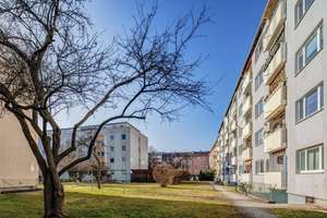 Property thumbnail 19