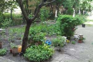 Property thumbnail 16