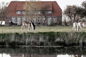 Rarität auf Eiderstedt - Traumwohnung nahe St. Peter-Ording & Nordsee | Provisionsfrei – Die vollständige Adresse der Immobilie erhältst du vom Anbieter., 25836 Vollerwiek – Vorschaubild 21