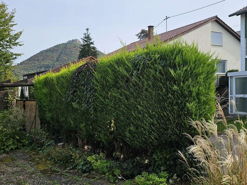 Vorgarten