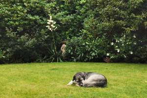 Property thumbnail 98