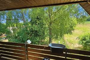 Reiterparadies nahe Weißenhäuser Strand – Pferdehof mit Weiden, Stallungen und PV-Anlage – Die vollständige Adresse der Immobilie erhältst du vom Anbieter., 23758 Wangels – Vorschaubild 17
