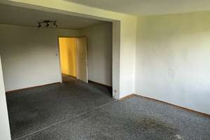 Bezugsfrei! Charmante Doppelhaushälfte mit großzügigem Sonnengarten in Top-Wohnlage – Die vollständige Adresse der Immobilie erhältst du vom Anbieter., 53175 Hochkreuz, Bonn – Vorschaubild 13
