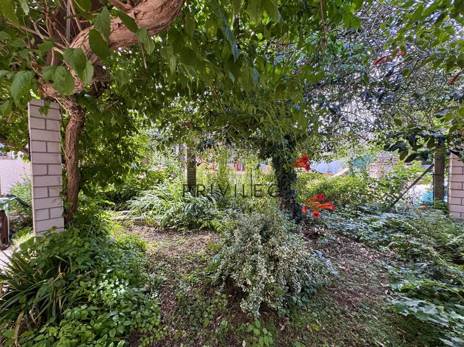 Gartenlandschaft