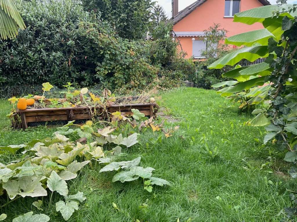 Immobilie in Kappelrodeck - Viel Platz für Ihr Familienglück! - Bild 3