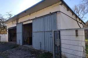 Freistehendes Landhaus mit großem - 12.800 m² Grundstück zu verkaufen (Bargeld bevorzugt)  – Seibertzmuhle 1, 55774 Ruschberg – Vorschaubild 3