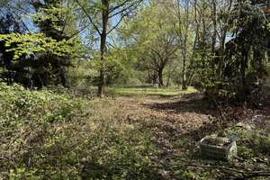 Gestalte, was dir wirklich gefällt – Haus mit großem Garten in Leipzig-Portitz – Lermastraße 15, 4349 Plaußig-Portitz, Leipzig – Vorschaubild 28