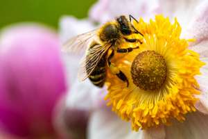 Property thumbnail 23