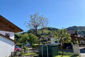 Alpenländisches Schmuckstück mit vermieteten Wohnungen - Erstwohnsitz im Herzen von Bayrischzell – Miesbach (Kreis) – Vorschaubild 7