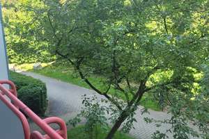 NH. MAN /LTU  HELLE, RENOVIERTE 1,5 ZI., BALKON MIT BLICK INS GRÜNE – Gerberau 11, 80997 Allach, München – Vorschaubild 30