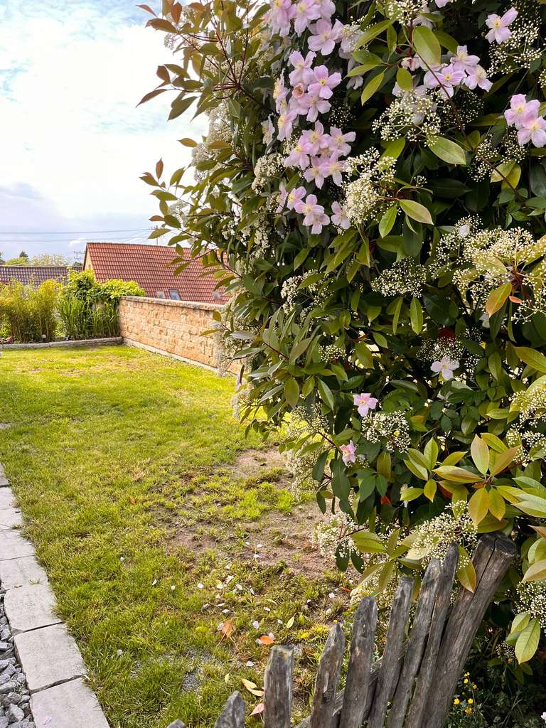 Immobilie in Affalterbach - Schönes Reihenmittelhaus mit 6 Zimmern im Herzen von Affalterbach - Bild 2