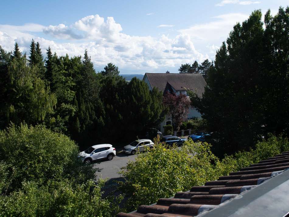 DSC_1603.jpg
