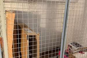 Ganz allein? 
Kauf sie! 
Zieh ein. – 30519 Mittelfeld, Hannover – Vorschaubild 3