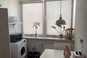 Ruhige helle 2 Zi DGWo in Uninähe – Schauenburgerstraße 32, 24105 Brunswik, Kiel – Vorschaubild 7
