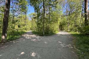 Gemütliches Dachgeschoss-Highlight: 2 Zimmer, ruhig, grün, Isar-nah – Brehmstraße 7, 81543 Siebenbrunn, München – Vorschaubild 14