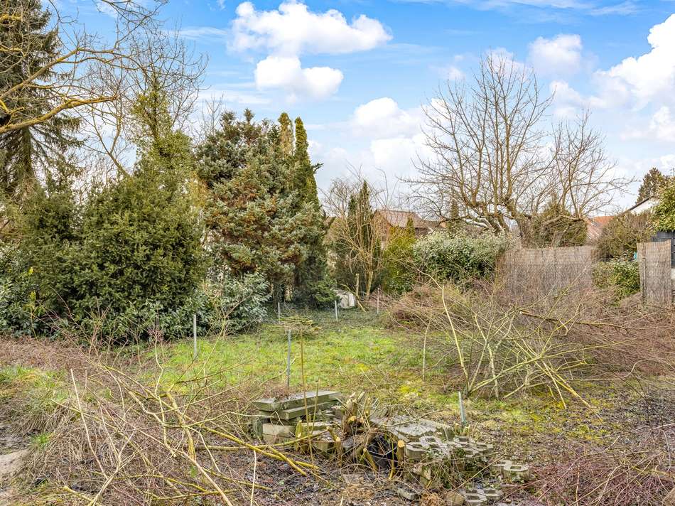 hinterer Grundstücksbereich