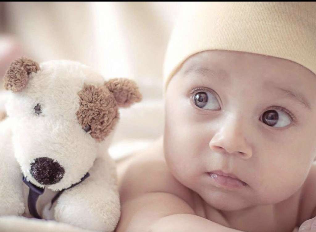 Immobilie in Callenberg - 🏡 Platz für Kinderlachen - jetzt bauen und ankommen - Bild 3