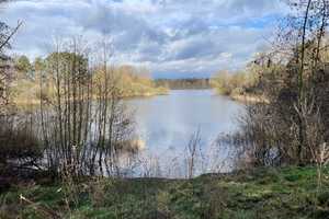 Familienfreundliches Reiheneckhaus mit großem Garten in Seenähe! – Braunschweig – Vorschaubild 13