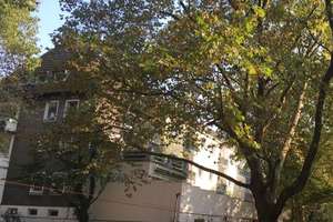 2x Ehrenfeld voll möbliert, grün & zentral, parallel Körnerstraße – Die vollständige Adresse der Immobilie erhältst du vom Anbieter., 50823 Ehrenfeld (Ortsteil), Köln – Vorschaubild 6
