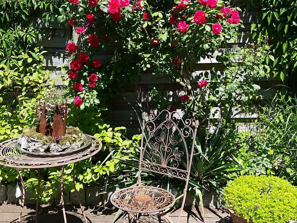 Wilkommen im "Café Privat"