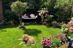 Property thumbnail 15