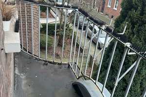Gut geschnittene, gepflegte 2-Zimmer-Wohnung mit Balkon im Bürgermeisterviertel (Hammerschmidtplatz) – Oehlerstraße 6, 47798 Krefeld – Vorschaubild 11