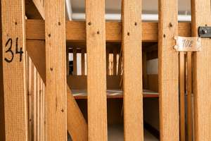 Renovierte 2-Zimmer-Wohnung mit großem Balkon & Aufzug in München-Trudering – sofort bezugsfrei – Wasserburger Landstraße 211, 81827 Waldtrudering, München – Vorschaubild 20