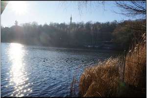 Exklusives Wohnen in Bestlage zwischen Park Babelsberg und Griebnitzsee – Wasserstr. 5, 14482 Babelsberg Nord, Potsdam – Vorschaubild 6