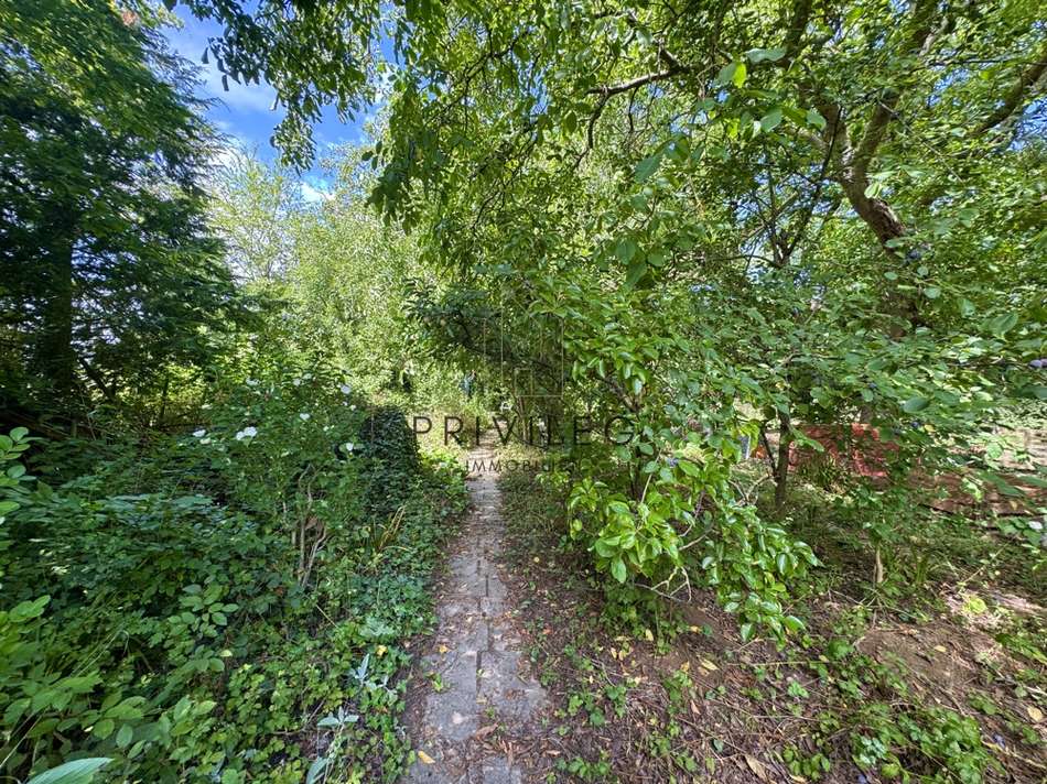 Gartenlandschaft