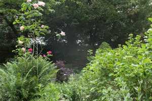 Property thumbnail 21