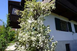 Historisches Haus mit Panorama-Alpenblick in Pöcking - Provisionsfrei – Die vollständige Adresse der Immobilie erhältst du vom Anbieter., 82343 Pöcking – Vorschaubild 5