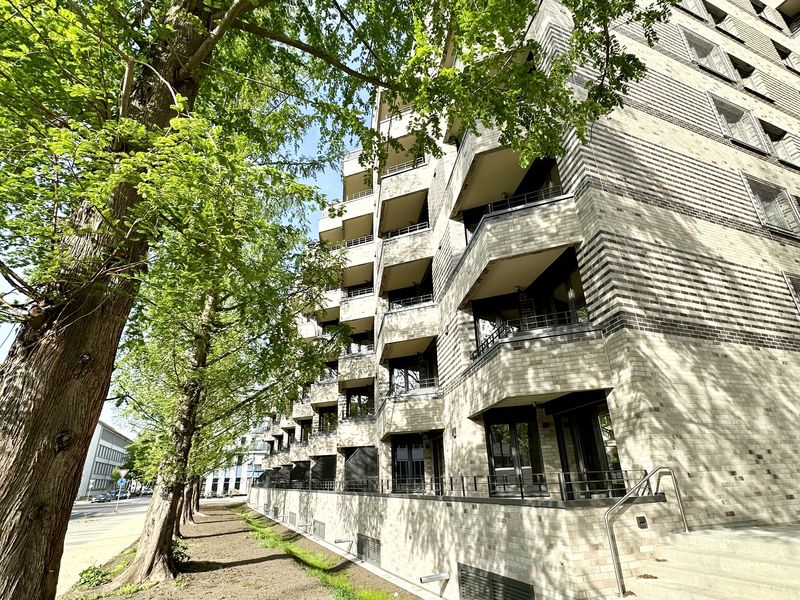 1 1,5Zimmer Wohnung zur Miete in Dresden ImmoScout24