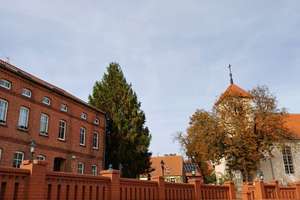 Rheinsberg/Flecken Zechlin! San.bed. Wohnhaus + Gartenland + Ackerland – Die vollständige Adresse der Immobilie erhältst du vom Anbieter., 16831 Rheinsberg – Vorschaubild 27