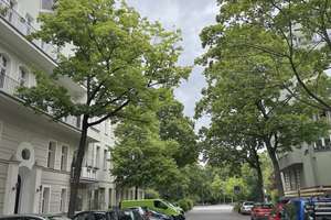 Gründerzeit trifft Wohnkomfort – Wunderbarer Altbau in der Beletage! – Willmanndamm 6, 10827 Schöneberg, Berlin – Vorschaubild 50