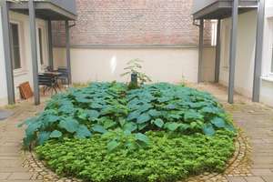 SCHMUCKSTÜCK & TOP LAGE - gemütliche 3 Zimmerwohnung mit Gartenanteil – St.-Pauls-Platz 9, 80336 Sankt Paul, München – Vorschaubild 16
