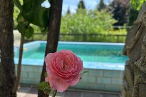 Ein Zuhause mit Urlaubsgefühl: Einfamilienhaus in Berlin-Mahlsdorf