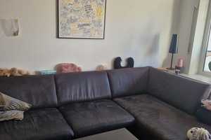 **GARTENSTADT Gepflegte Wohnung mit Westbalkon, Holzböden, Laminat, Fliesen & Duschbad – Dortmund – Vorschaubild 12