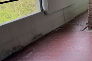 Großzügige 3-Zimmerwohnung mit Parkettboden und Einbauküche in Köln Westhoven – Die vollständige Adresse der Immobilie erhältst du vom Anbieter., 51149 Westhoven, Köln – Vorschaubild 16